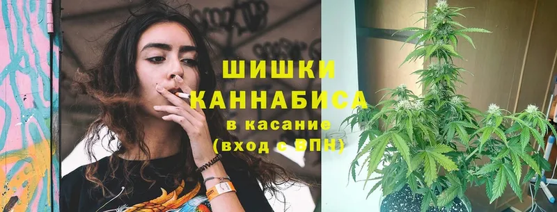 площадка состав  Шадринск  Бошки марихуана индика  купить  цена 